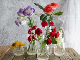 Frische Blumen in Vasen als Symbolbild für den Ratgeber Schnittblumen frisch halten.
