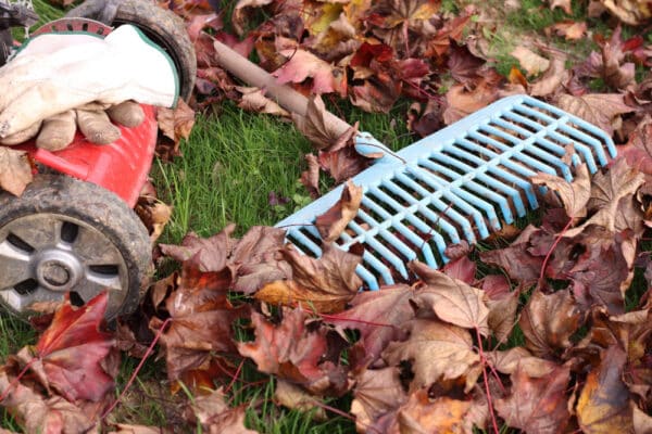 Laub auf dem Rasen sowie Mähroboter und Rechen, um den Garten auf den Herbst vorbereiten