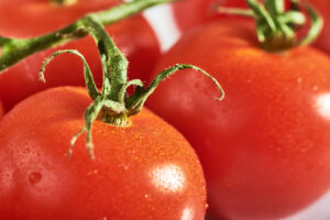 Closeup von Tomaten als Symbolbild für den Ratgeber: Wenn eine Tomate schimmelt, alle wegwerfen?