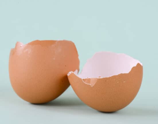 Eierschale essen Ratgeber