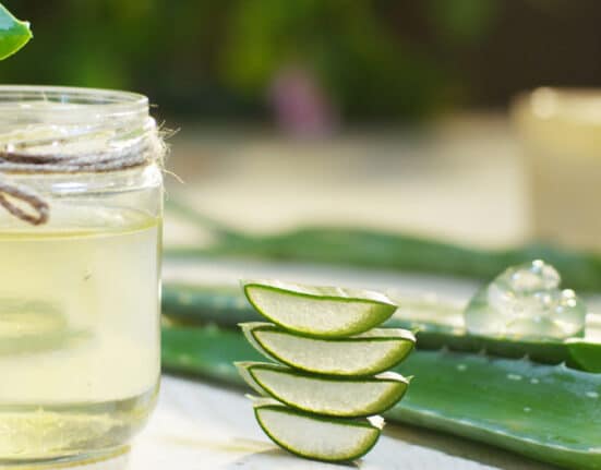 aloe vera gel selber machen - so gehts
