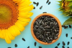 Sonnenblumenkerne zum Abnehmen und als gesunde Snackalternative