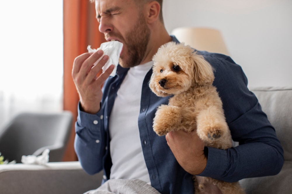 Mann putzt sich mit der einen Hand die Nase und im anderen Arm hält er einen kleinen Hund als Symbolbild für den Ratgeber: Welche Haustiere sind für Allergiker geeignet?