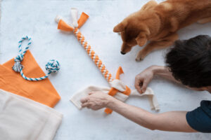 Hund und Halter liegen auf dem Boden. Der Halter flechtet einen Zergel aus Fleece als Symbolbild für den Ratgeber: Hundespielzeug selber machen.