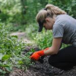 Frau bei der Gartenarbeit mit Handschuhen in üppiger grüner Umgebung - Symbolbild für den Ratgeber: Natron gegen Unkraut