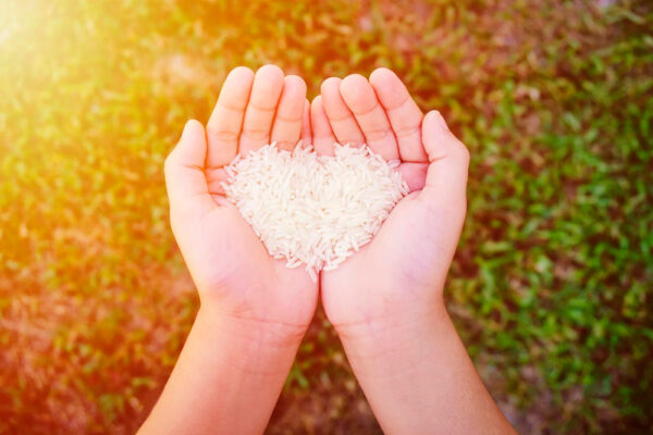 Loser weißer Reis wird in Händen gehalten und zu einer Art Herz geformt als Symbolbild zum Ratgeber: Wie viel Reis pro Person