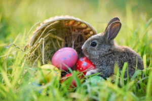 Ein Hase mit einem Korb mit Eiern auf einer Wiese als Symbolbild für Ratgeber: Verstecke fürs Osternest