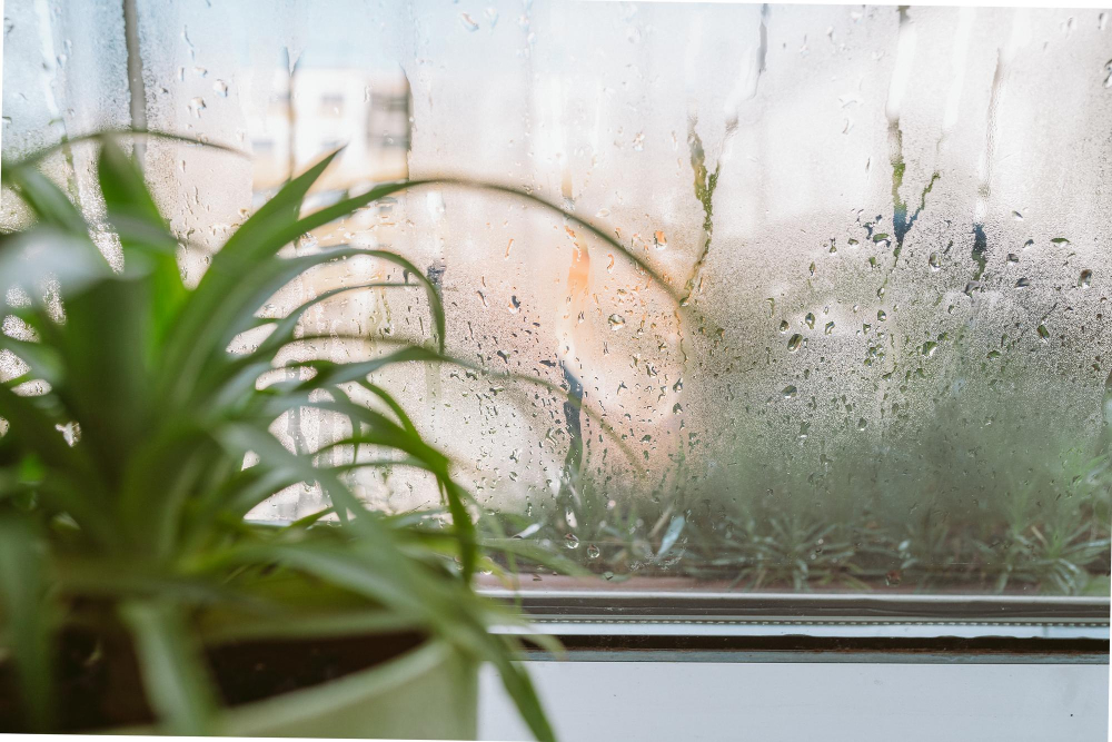 Hohe Luftfeuchtigkeit in der Wohnung sieht man an anlaufenden Fenstern