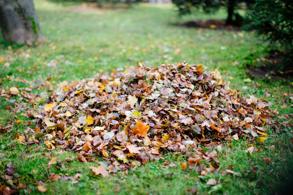 Ein Haufen Laub im Garten als Symbolbild für den Ratgeber Laub entsorgen