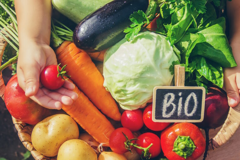 Korb mit frischem Bio-Gemüse, darunter Karotten, Tomaten, Kartoffeln, Paprika, Kohl und Aubergine, mit Kinderhand und Schild „Bio“.