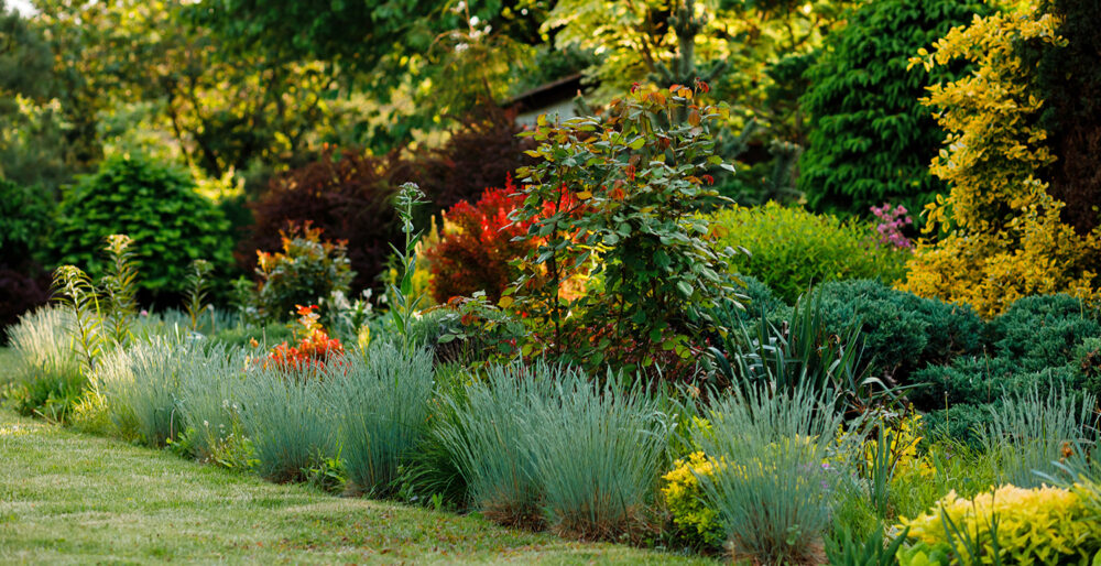 Gartenarbeit & Pflanzenpflege