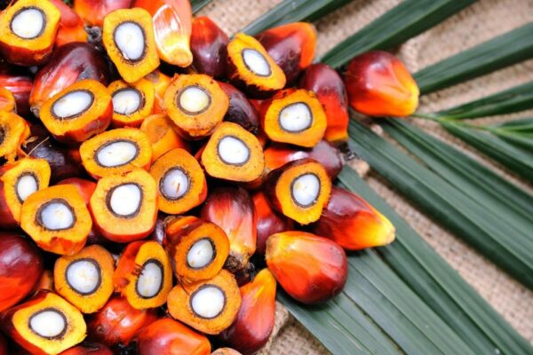 Warum ist Palmöl so ungesund?