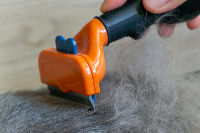 Unterwolle entfernen mit einem De-Shedding Tool als Symbolbild für den Ratgeber: Alternativen zum Furminator
