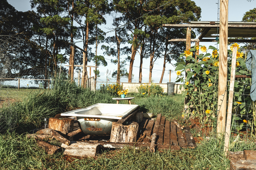 Ein wunderschöner Garten mit blühenden Sonnenblumen und einer alten Badewanne als Symbolbild für Ratgeber: alte Badewanne als Pool im Garten