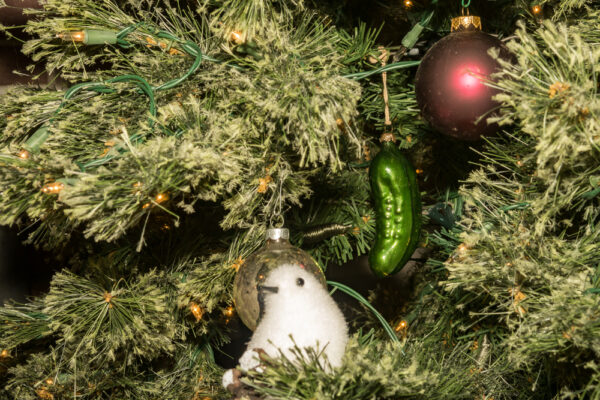 Christmas Pickle bzw Weihnachtsgurke hängt am Weihnachtsbaum