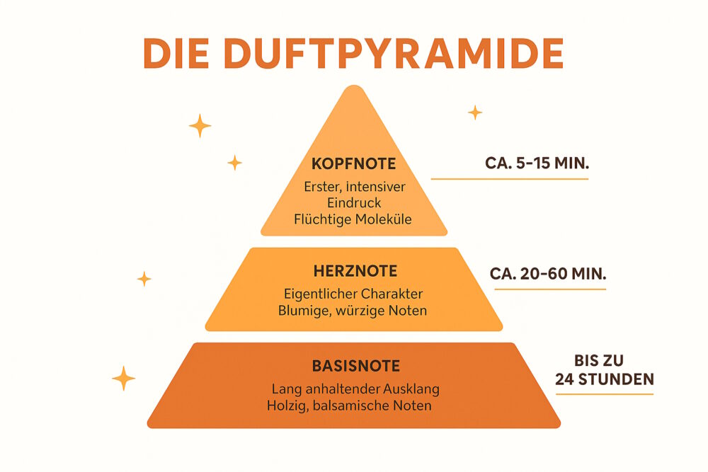 Illustration einer Duftpyramide mit drei Ebenen: Kopfnote (flüchtige Moleküle, 5–15 Minuten), Herznote (blumige, würzige Noten, 20–60 Minuten), Basisnote (holzig, balsamisch, bis zu 24 Stunden).