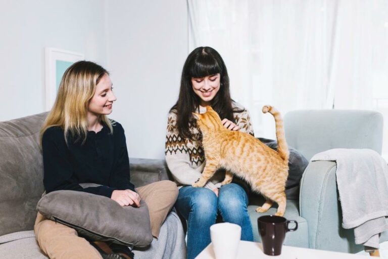 Katzensitter und Besitzerin sitzen auf der Couch mit einer Katze
