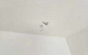 Spielzeug-Glibber an der Wand