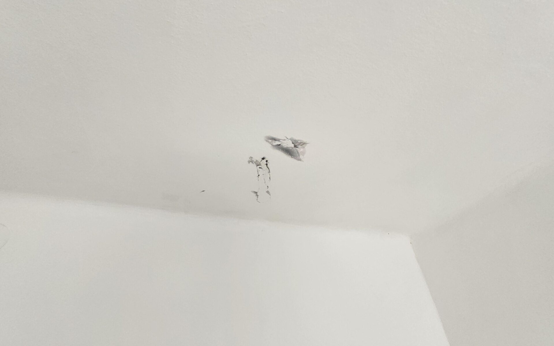 Spielzeug-Glibber an der Wand