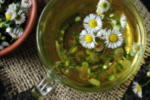 Tee aus Gänseblümchen