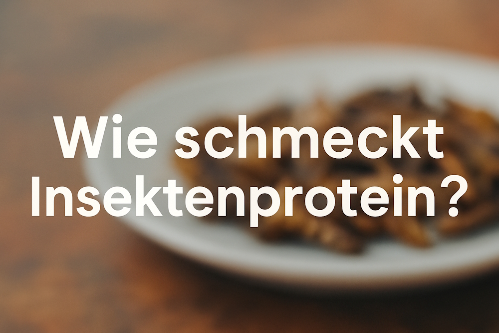 Weiße Schrift mit der Frage „Wie schmeckt Insektenprotein?“ vor einem unscharfen Teller mit gerösteten Insekten.