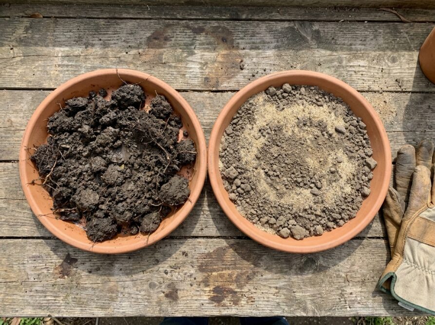 Zwei Schalen mit feuchter und mit aufbereiteter, gesiebter Blumenerde im Vergleich