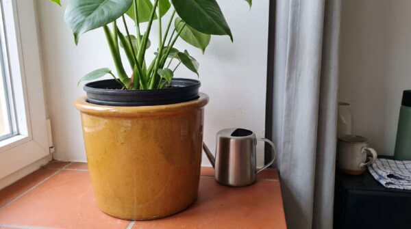 blumentopf ohne abflussloch bepflanzen in einer natürlichen Alltagsszene