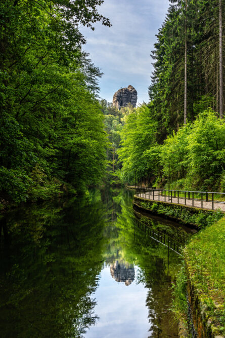 Fluss mit Spiegelung der Felsen im Elbsandsteingebirge, umgeben von grünem Wald