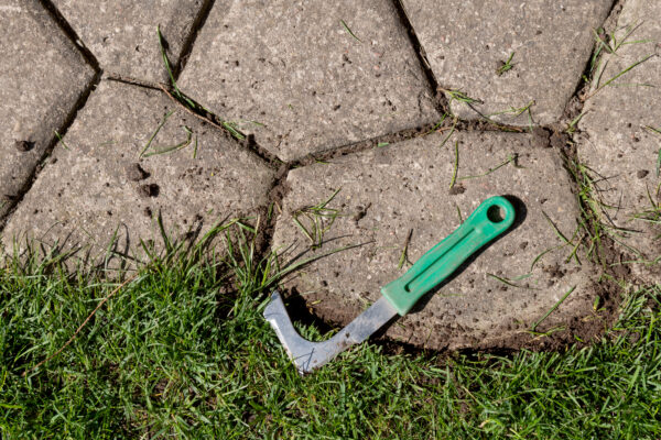 Ein grüner Fugenkratzer liegt neben Gras, das zwischen unregelmäßigen Steinplatten wächst.