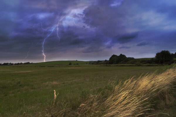 Gewitter mit Blitzen über einem weiten Feld und bewegtem Gras im Vordergrund.