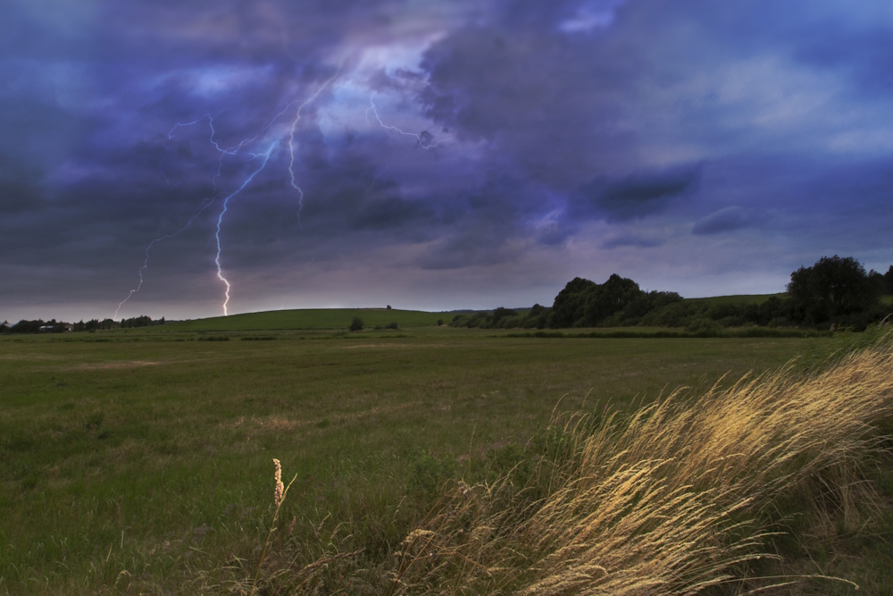 Gewitter mit Blitzen über einem weiten Feld und bewegtem Gras im Vordergrund.