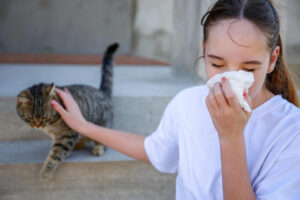 Mädchen streichelt eine Katze und niest mit Taschentuch – typische Reaktion bei Katzenallergie durch Fel d 1.
