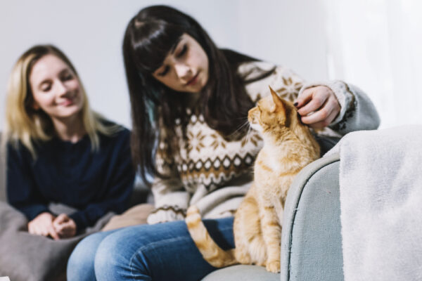 Eine Frau streichelt eine orange-weiße Katze auf einem Sessel, während eine zweite Frau daneben sitzt.