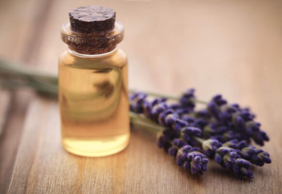 Kleine Glasflasche mit gelblichem Lavendel-Ölauszug neben frischen Lavendelblüten auf einem Holztisch