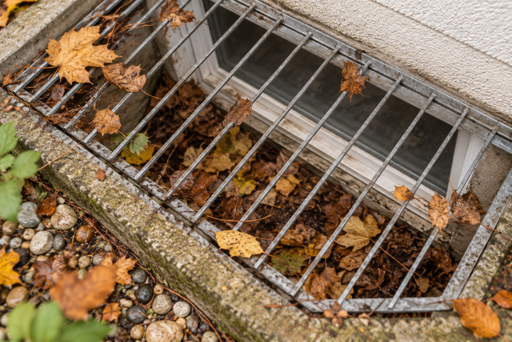 Lichtschacht mit Herbstlaub unter einem Metallrost