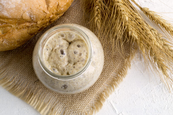 Aktiver Sauerteigstarter im Glas neben Brot und Getreideähren