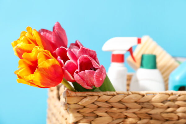 In einem geflochtenen Korb stehen Reinigungsflaschen und eine Bürste; links ragen orangegelbe und pinkrote Tulpen heraus.