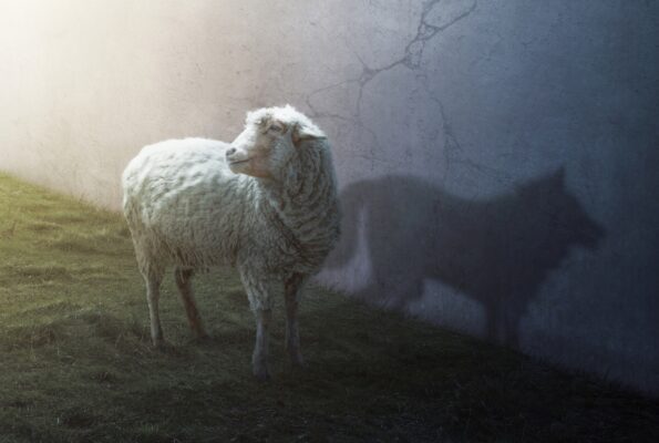 Ein Schaf, welches den Schatten eines Wolfes an die Wand wirft als Symbolbild für den Rageber: Schlechte Charaktereigenschaften