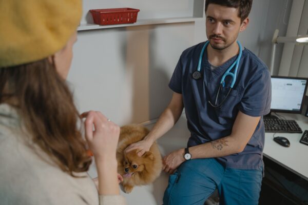 Ein Tierarzt in dunkelblauer Kleidung hält einen kleinen braunen Hund auf dem Behandlungstisch; eine Frau sitzt daneben.
