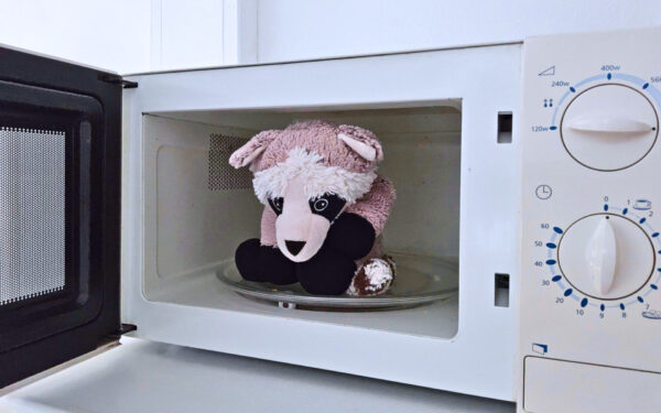 Ein Warmies-Waschbär sitzt in der offenen Mikrowelle auf dem Drehteller, bereit zum Erwärmen.