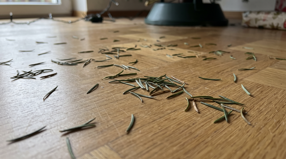 Grüne Tannennadeln eines Weihnachtsbaums liegen verstreut auf einem Holzboden.