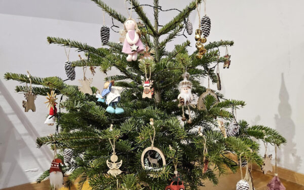 Weihnachtsbaum nadelt schon? So stoppst du es