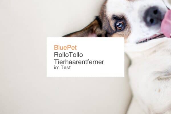 BluePet RolloTollo Tierhaarentferner im Test
