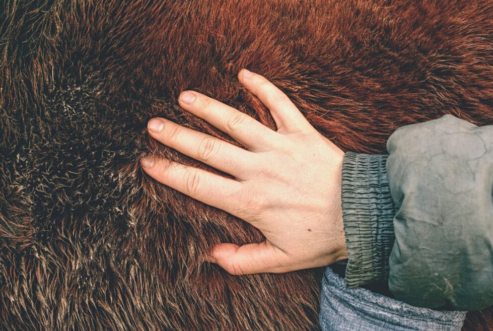 Für alle Felle und mehr