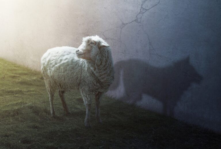 Ein Schaf, dass den Schatten eines Wolfes an die Wand wirft als Symbolbild für den Ratgeber: Schlechte Charaktereigenschaften