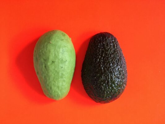 Eine hellgrüne, eher glatte Avocado liegt neben einer dunkelgrünen, rauen Frucht auf leuchtend orange-rotem Hintergrund.